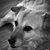 Cindy Balraj's profile image