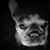 Patsy Davis's profile image