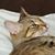 Cindy Palmer's profile image