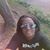Gayzelle Eggleston Thomas's profile image