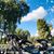 Sandy Boyd Caldwell's profile image