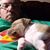 Jeff Adkins's profile image