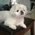 Marilyn Wolfe Ridge's profile image