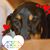 Ron Robertson's profile image