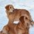 Mindy Easterling's profile image