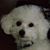 Joan Hulett's profile image