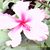 Suzanne Lampon Vasquez's profile image
