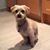Kristen LaMarca's profile image