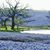Debbie Harrell-Thies's profile image