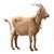 Michael Davis's profile image