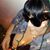Samantha Adams's profile image