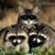 Haga Nory's profile image