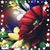 Elizabeth M Armijo's profile image