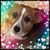 Fe Pastor Rentlim's profile image