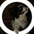 Mirrissa Polancy's profile image
