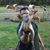 Troy Proffitt's profile image