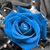 Maria Banos's profile image