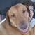 Kirck Viana's profile image