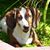 Denise LeAnne Martin-Hastings's profile image