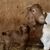 Brenda Lawhorne Klepper's profile image