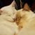 Faith Horton Stilts's profile image
