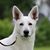 Diana L. Updike's profile image