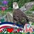 Tom Armbruster's profile image