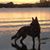 Michael Fellows's profile image