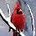 Pat Martin Dickson's profile image