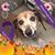 Yvette DeSear Thormodson's profile image