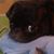 Elise Cullitan's profile image