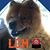Dennis Rouillard's profile image