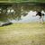 Justin Fasel's profile image