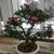 Mary Kay Simon's profile image