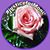 Shannon Marie's profile image