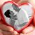Niki Allen Donaldson's profile image
