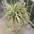 Laura L Lohr Shaw's profile image