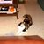 ShaRon K Eastep's profile image