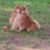 Tammy Pruitt-Wheeler's profile image