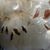 Kathy Turley-Williamson's profile image