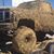 Tracy Trejo's profile image