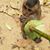 Michelle James's profile image