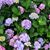Bev Cramer's profile image
