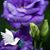 Mirita Castro's profile image