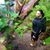 Adrianna Therrien's profile image