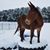 Connie Nicholson-Price's profile image