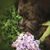 Vicki McLead's profile image