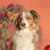 Janice Lorentz's profile image