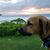 Kevin Laase's profile image