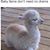 Valerie Moore's profile image
